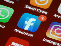 单：社交渠道贡献海外订单占比从8%提拔至29%